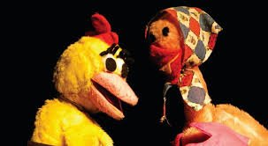 El pollito Pazguato